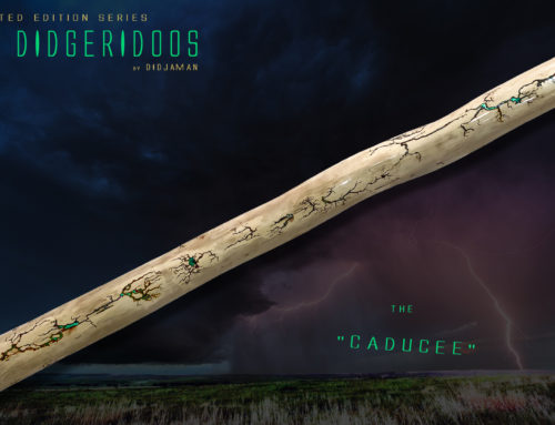 Didgeridoo Tesla “CADUCEE”