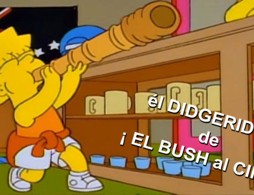 El DIDGERIDOO… de BUSH a CINE !