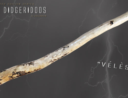 Didgeridoo Tesla « VÉLÈS »