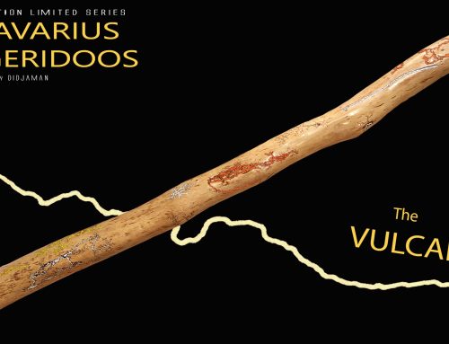 Didgeridoo Didjavarius « VULCAN »